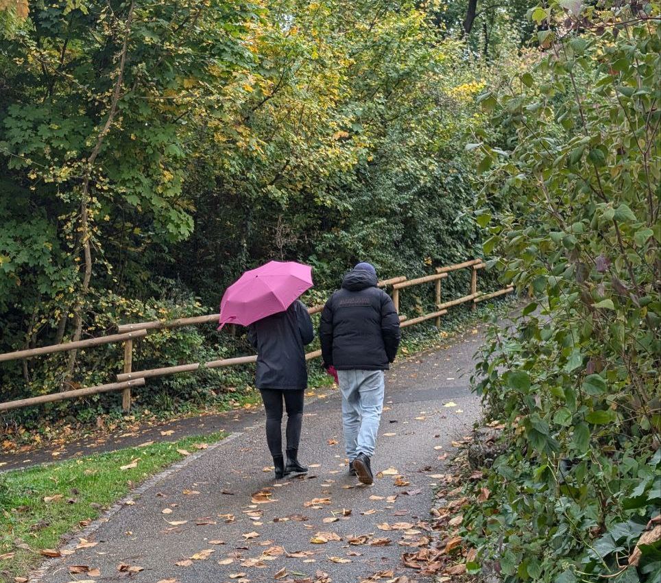 Deux personnes marchent côte à côte sur un chemin bordé d'arbres d'automne, l'une sous un parapluie rose